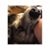 Emily Mulvany's profile image