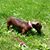 Lynn Lamine's profile image