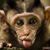 Scott Bradley's profile image