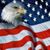 Karen Dembicki's profile image