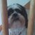 Rich Ritenour's profile image