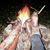 Lynn Walker McCarthy's profile image