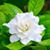 Jess Walker-Murphy's profile image
