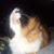 Nicole Cruice's profile image