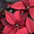 Lori Moerke's profile image