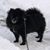 Beata Mcpherson's profile image
