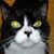 Susan Rehorek's profile image