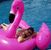 Jeanne Horne's profile image