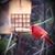 Melissa Garner's profile image