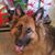 Jilly Makowski's profile image
