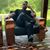 David James Young's profile image