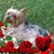 Kathy Myers Pariseau's profile image