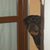 Roberto Marrazzo's profile image
