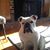 Christine Watjus-Hanrahan's profile image