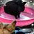 Christine Clements's profile image