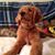 Peggy Blais's profile image