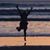 Elisa Marie Florez's profile image