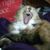 Steve Bowen's profile image
