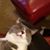 Cindy Zellers's profile image