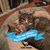 Bethany DeMark Zimpel's profile image