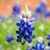 Margie Vaughan's profile image