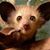 Shaun Mayo's profile image