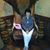 Kim Schlobohm's profile image