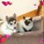 Sue A. Brungardt's profile image