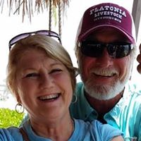 Pamela Schneider's profile image
