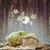 Cathy Delong's profile image