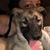 Tammi Hill's profile image