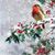 Karen Rene's profile image