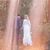 Brianna Moreira's profile image