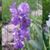 Sylvia McIntosh's profile image