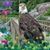 Tom Armbruster's profile image
