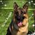 Tari Kridler's profile image