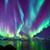 Cindy VanBuskirk's profile image