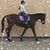 Michelle Metcalf's profile image