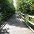 Debra Hamilton Muñoz's profile image