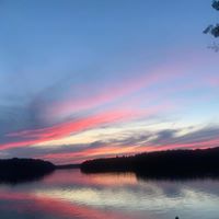 Nicole Bordine's profile image