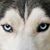 Raymond Bernadisius's profile image