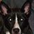 Melanie Warren's profile image