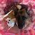 Robbi Patterson's profile image