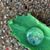 Ellen Strout's profile image