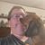 Michael McKeown's profile image
