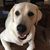 Sash Srinivas's profile image
