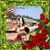 Timothy J Gray's profile image