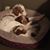 Jeffrey Troyer's profile image