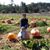 Elizabeth Monacelli's profile image