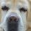 TROY D.'s profile image